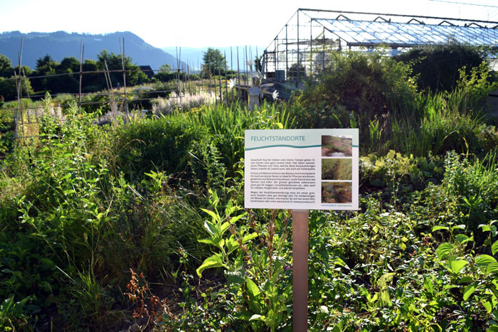 Informationsschilder zu Flora/Fauna Bioschwand Münsingen